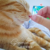 喵喵喵