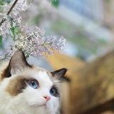 莹さま