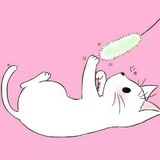 花开花落她是谁