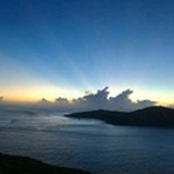 仙太郎Y
