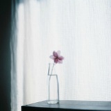 wsylove