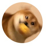 啦啦啦