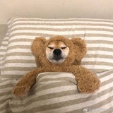 早睡早起身体棒