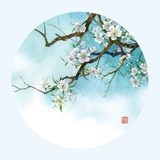 月亮