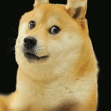 过客