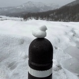 乱世小新
