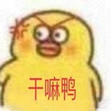 喵星人