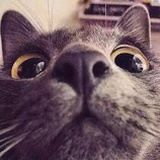 小