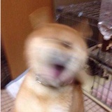 嘟嘟妈妈