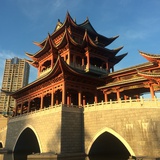 唯一的手