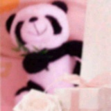 爱吃豆芽的姑娘