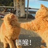就是番茄酱