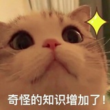 蕾小蕾是Miss懵