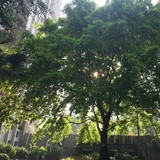 潘