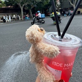 桃花仙人不喝酒