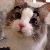 泥猜呀泥猜不到