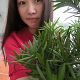 你滚滚吧。