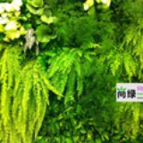 北京植物墙