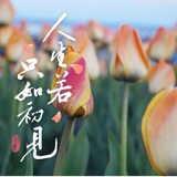 简单爱