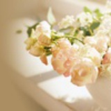 Miss_静