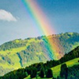 山林清泉