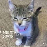 ShinGo