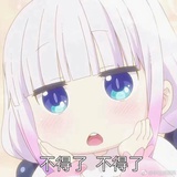 汪星人登陆地球
