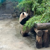 我会偷偷努力