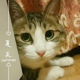 亲亲耗耗