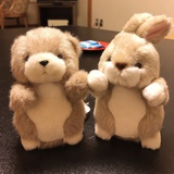 别看了我没糖