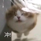 过激背德