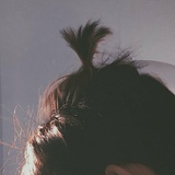 莫枔