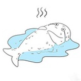 甜甜圈