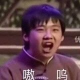 dushou77