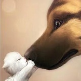 嘎嘣