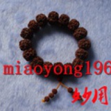 金刚菩提价格