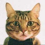 Meow