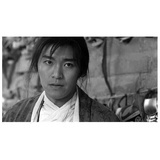 这里是一只考拉