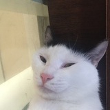 卡拉