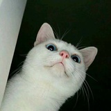 橙汁