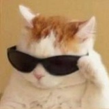 是小猴子阿