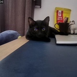 小y
