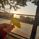 大老虎吃兔兔