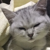 镜花水月0209