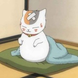 猫猫大人