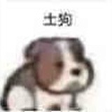 猹要成精