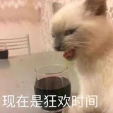 小羊羊咩