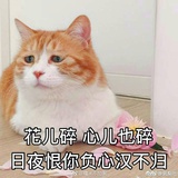 吃瓣橘子吗
