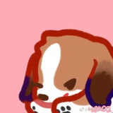 joykang