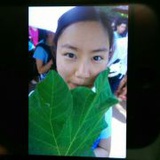 surviver旧